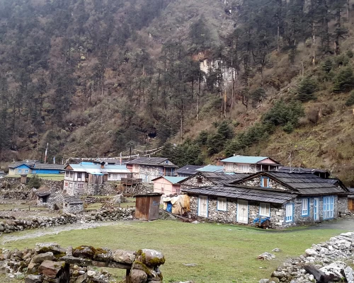 Kothe On The Way Mera Peak Climbing
