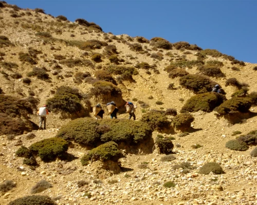 Trekking In Upper Mustang